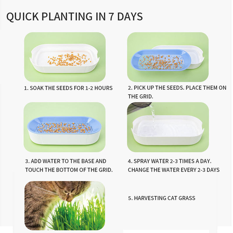 Hydroponic Cat Grass Box