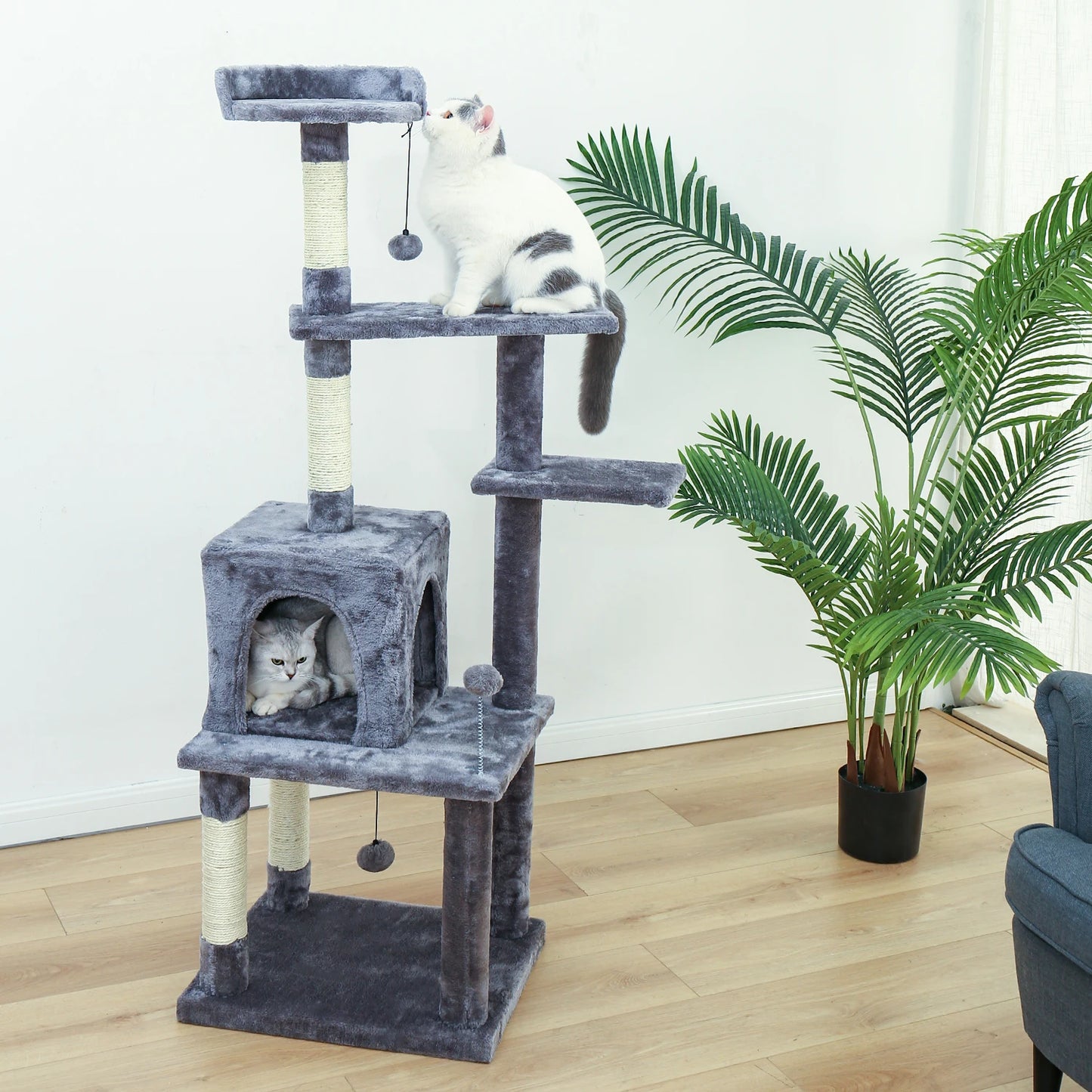 Pet Cat Jumping Toy with Ladder Scratching