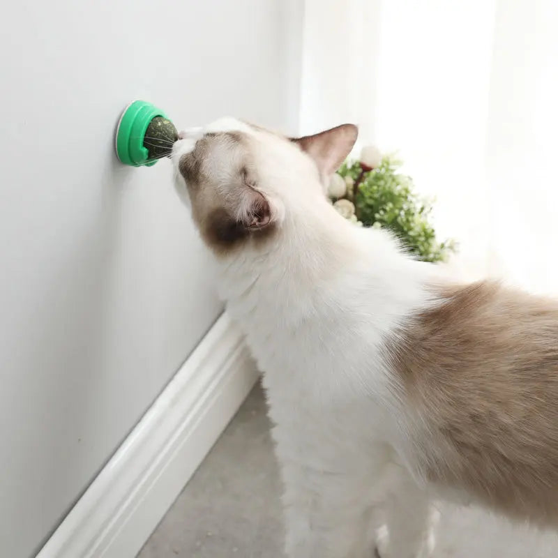 Natural Catnip Toys For Cats