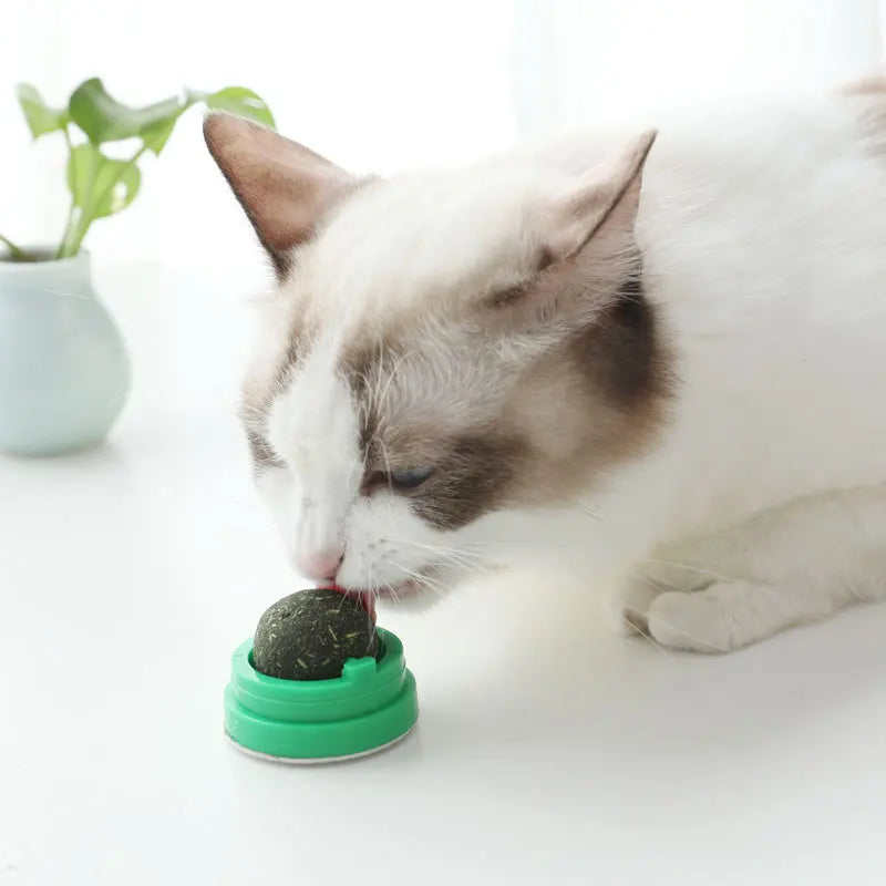 Natural Catnip Toys For Cats