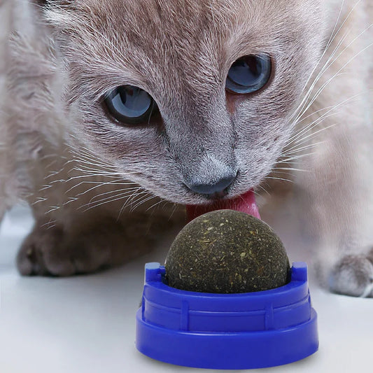 Natural Catnip Toys For Cats