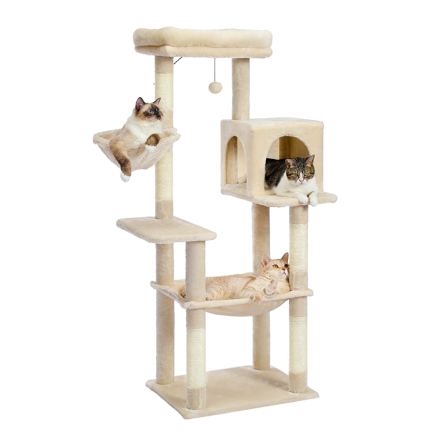 Pet Cat Jumping Toy with Ladder Scratching