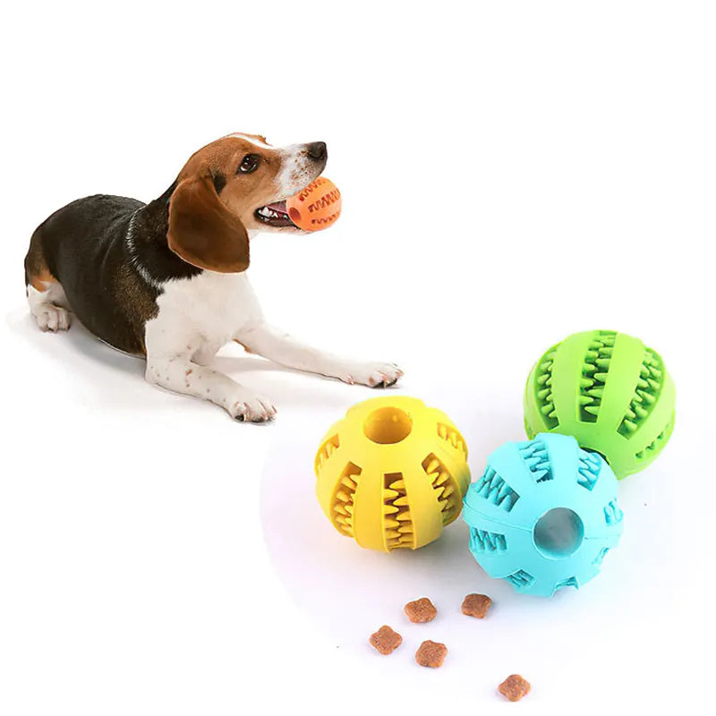 Dog Ball Toys