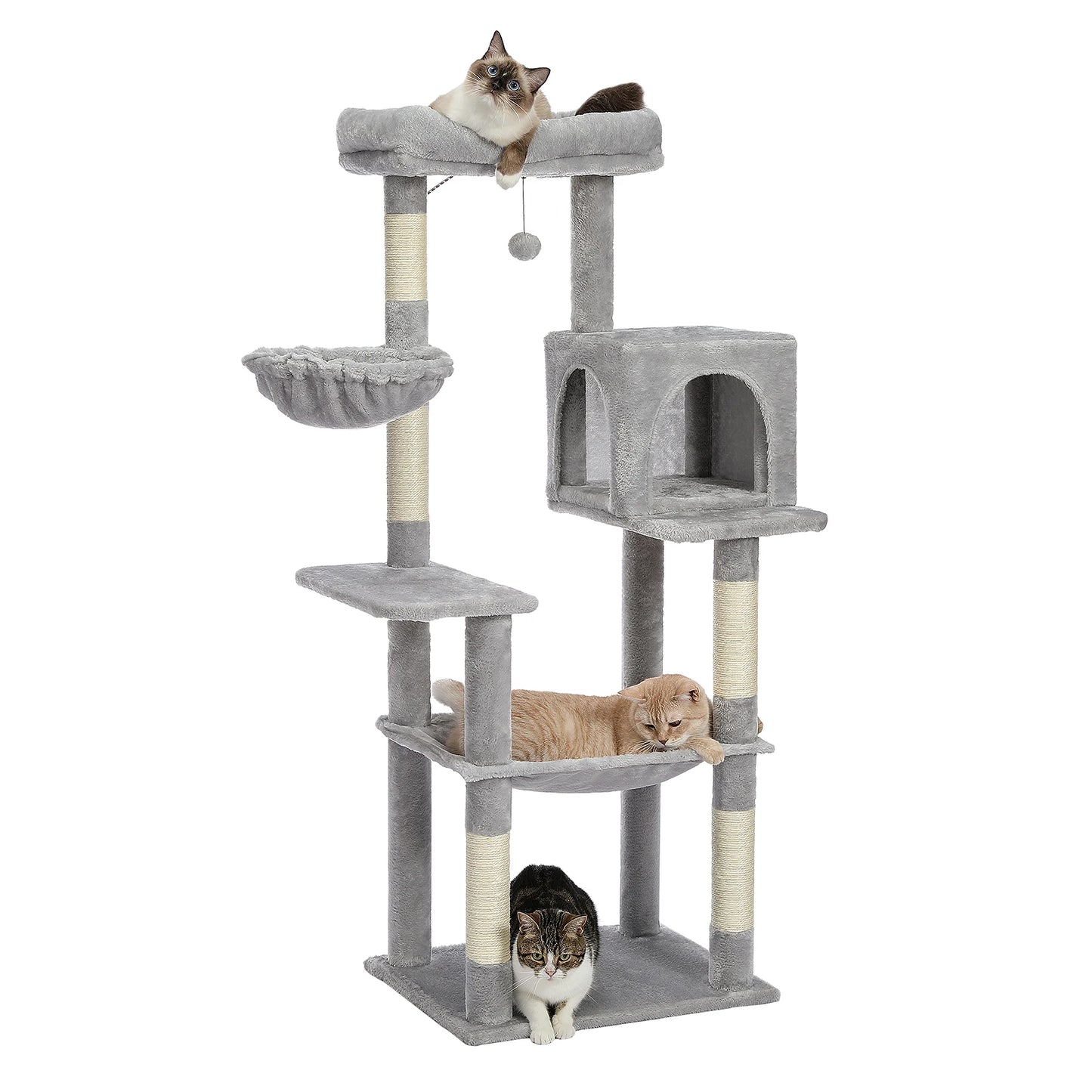 Pet Cat Jumping Toy with Ladder Scratching