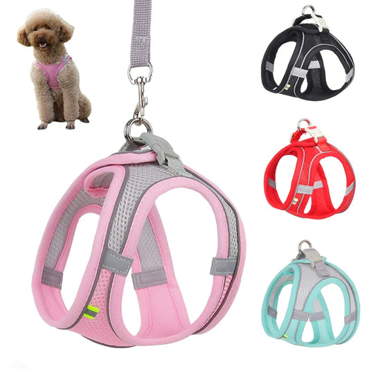 Dog Harness Leash