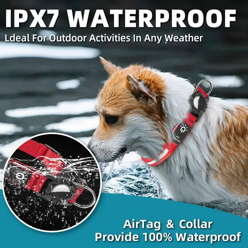 WaterProof Led Dog Collar Light